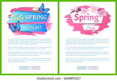 Spring sale advertisement label branch of sakura or cherry blooming flowers vector on web page push buttons, butterfly and blossoms symbol of springtime