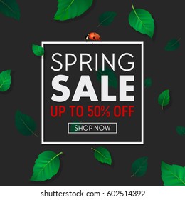 Spring sale background banner with frame, beautiful green leaves and ladybug. Design template for online store, flyer, poster, shopping, selling sign, discount, marketing, web, header etc. EPS10.