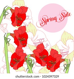 Spring sale background with five red amaryllises. Vector illustration