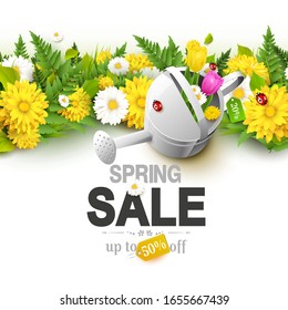 Spring sale background with flowers, grass, fern and ladybugs on white background.