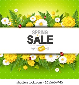 Spring sale background with flowers, grass, fern and ladybugs on green background.