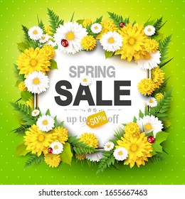 Spring sale background with flowers, grass, fern and ladybugs on green background.