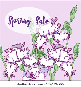 Spring sale background with irises. Vector illustration