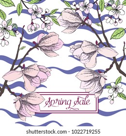 Spring sale background with magnolia and apple tree. Hand drawn sakura flowers. Vector illustration
