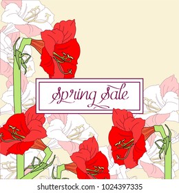 Spring sale background with red pink amaryllis. Vector illustration