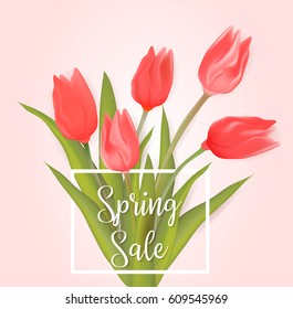 Spring sale background with red tulip flowers. 