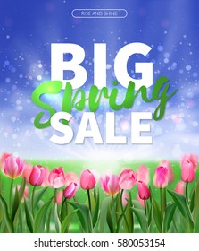 Spring sale background with tulips. EPS 10 vector royalty free stock illustration for greeting card, ad, promotion, poster, flier, blog, article, social media, marketing