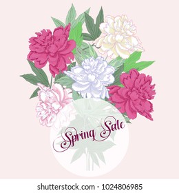 Spring sale background two pink and white peonies.Vector illustration