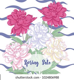 Spring sale background two pink and white peonies.Vector illustration