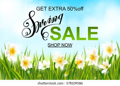 Spring sale banner, background with daffodil narcissus flowers, green grass, swallows, lettering and blue sky. Seasonal discount