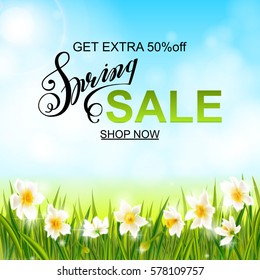 Spring sale banner, background with daffodil narcissus flowers, green grass, swallows, lettering and blue sky. Seasonal discount