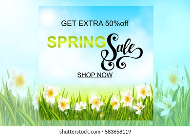 Spring sale banner, background with daffodil narcissus flowers, green grass, swallows, lettering and blue sky. Seasonal discount