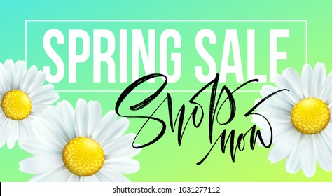 Spring sale banner, background with daisy flowers. Seasonal discount. Vector illustration EPS10