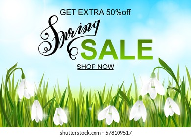 Spring sale banner, background with galanthus snowdrop flowers, green grass, swallows, lettering and blue sky. Seasonal discount