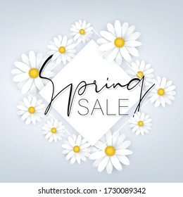 Spring sale banner  background or wallpaper. Tender white daisy flower design. Vector illustration.