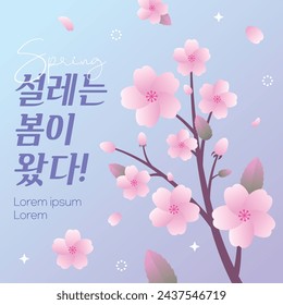 Spring Sale Banner with Beautiful Cherry Blossom Tree (korean, written as Spring is here!)