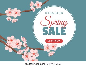 Spring sale banner with blooming pink cherry flowers on blue background. Template for flyer, voucher, brochure and banner design