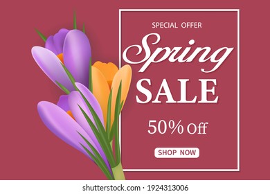 Spring sale banner with the first crocus flowers. The banner is ideal for promotions, magazines, advertising, and websites. Vector illustration. Discount card for the spring season