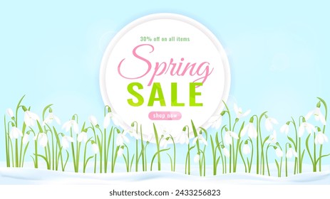 Spring sale banner with snowdrops on a blue background. Spring flowers in the snow. Vector illustration template. Design for wallpaper, invitation, flyer, discount coupon.