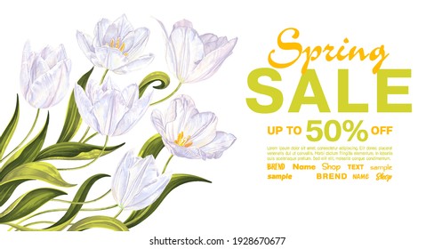 Spring sale banner template with white tulips. Background with spring, vector, realistic flowers and leaves. Discount poster, advertisement, template for outdoor advertising social media posts