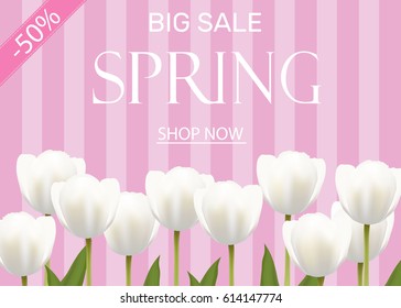 Spring sale banner with white vector flowers tulips. Light pink striped background.