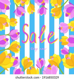 Spring sale banner.Bouquet of of purple and yellow crocuses, saffron in the form of a circle . Festive greeting card with copy space. Flat lay. 