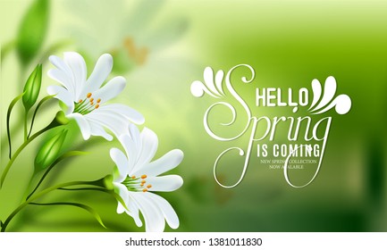 Spring sale with beautiful flowers, background