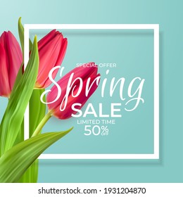 Spring Sale Blue Template Background with realistic Pink Tulip Flower with Frame. Vector Illustration EPS10