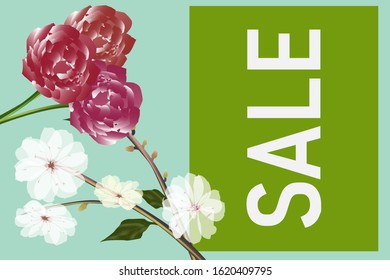 Spring sale, bright beautiful flowers.