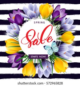 Spring sale concept. Spring background with flowering crocuses.Template vector.