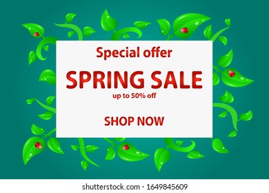 Spring sale design. Beautiful colorful banner illustration with green leaves and ladybugs for discount, advertising.