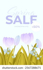 Spring sale, discounts, tulip flower poster. Vector illustration