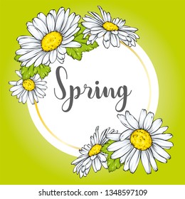 Spring Sale flyer background with beautiful flower. Vector illustration. Camomile.