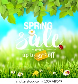 Spring sale flyer with leaves and grass with flowers in front of a sunny meadow.