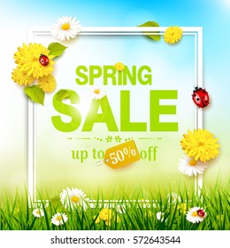 Spring sale flyer - sunny meadow with flowers and ladybugs in the grass