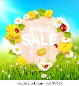 Spring sale flyer - sunny meadow with flowers and ladybugs in the grass