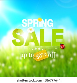 Spring sale flyer - sunny meadow with flowers and ladybugs in the grass