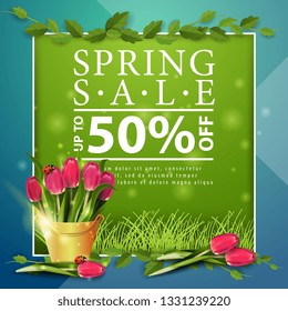 Spring sale, green postcard template with lettering, frame of liana and bouquet of tulips in a yellow bucket