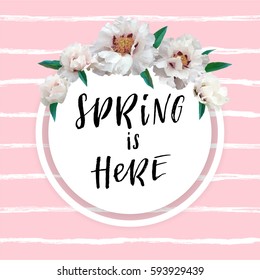Spring sale lettering with hand drawn letters. Label and banner template with soft pink peony flowers with frame, vector illustration. Bright striped colorful background.