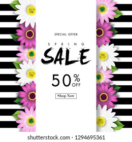 Spring Sale Off Background with Colorful Daisy Flower Blossom Design Vector