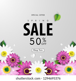 Spring Sale Off Background with Colorful Daisy Flower Blossom Design Vector
