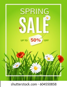 Spring sale poster template with green grass and flowers, vector illustration