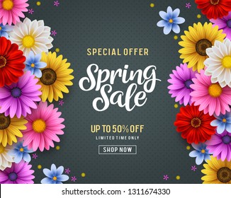 Spring sale and special offer vector banner background with colorful chrysanthemum and daisy flowers elements and spring season shopping promotional text. Vector illustration.
