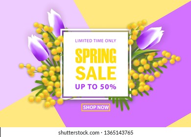Spring sale square banner with mimosa. 3d realistic branches, green leafs, fresh tulips. Blank template, vector mockup for web site banner, ads, booklet, poster, flyer. Special discount up to 50 % off