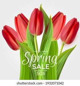 Spring Sale Template Background with realistic Red Tulip Flower. Vector Illustration EPS10