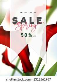 Frühjahrsvorschau oder Flyer Design mit 50% Rabatt Angebot und schöne dekorative Blumen.