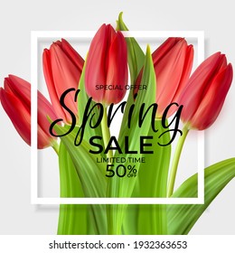 Fondo del afiche de la plantilla de venta de primavera con flor de tulipán realista con marco. EPS10 de ilustración vectorial