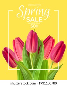 Spring Sale Template Yellow Background with realistic Tulip Flower with Frame. Vector Illustration EPS10