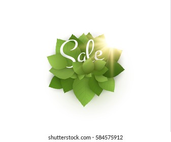 Spring sale vector background with green leaves and bright sun. Vector eps10.