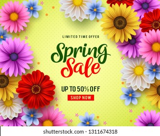 Spring sale vector banner with colorful chrysanthemum and daisy flowers elements and spring season discount promotion text. Vector illustration.
